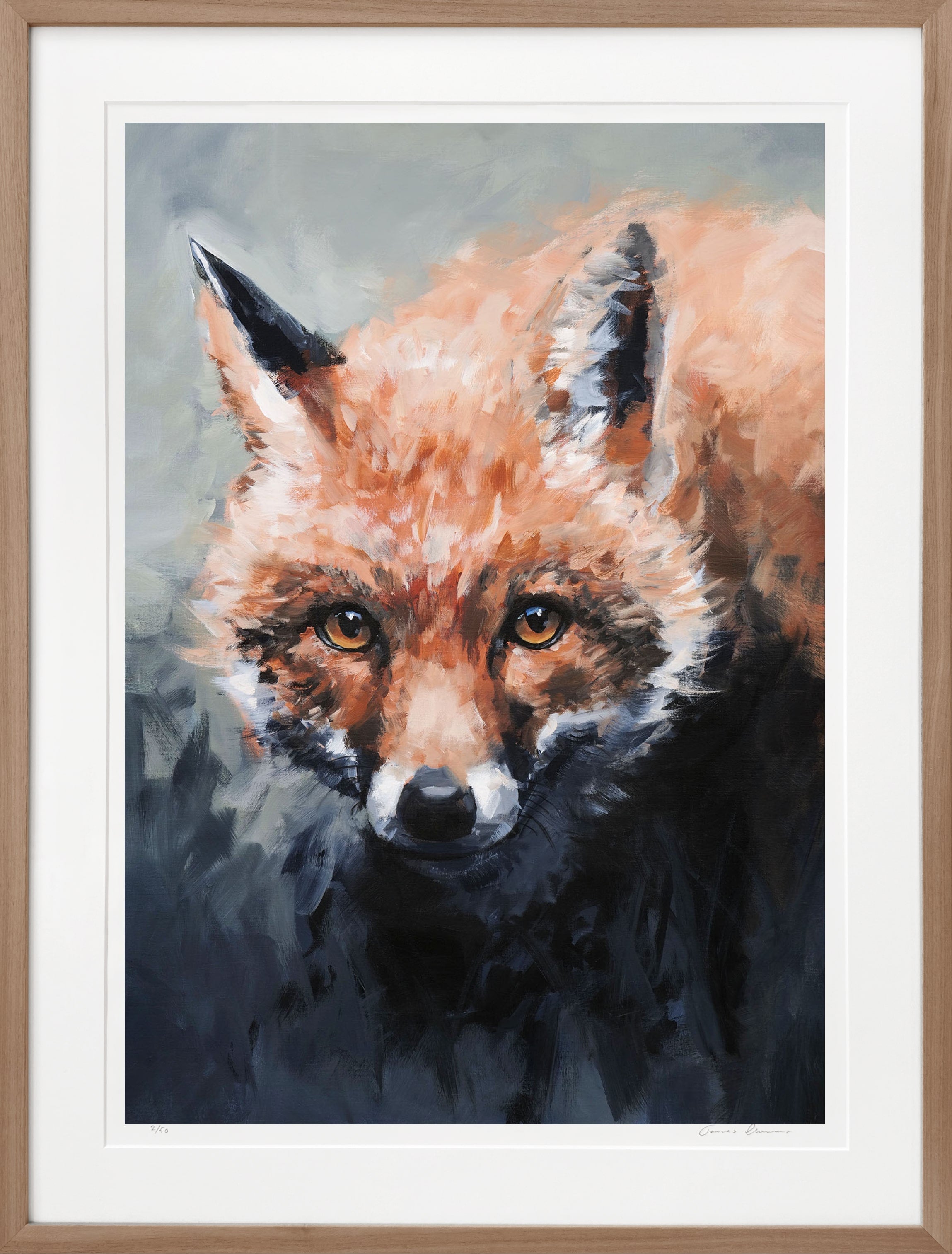 Fox - Fine Art Print