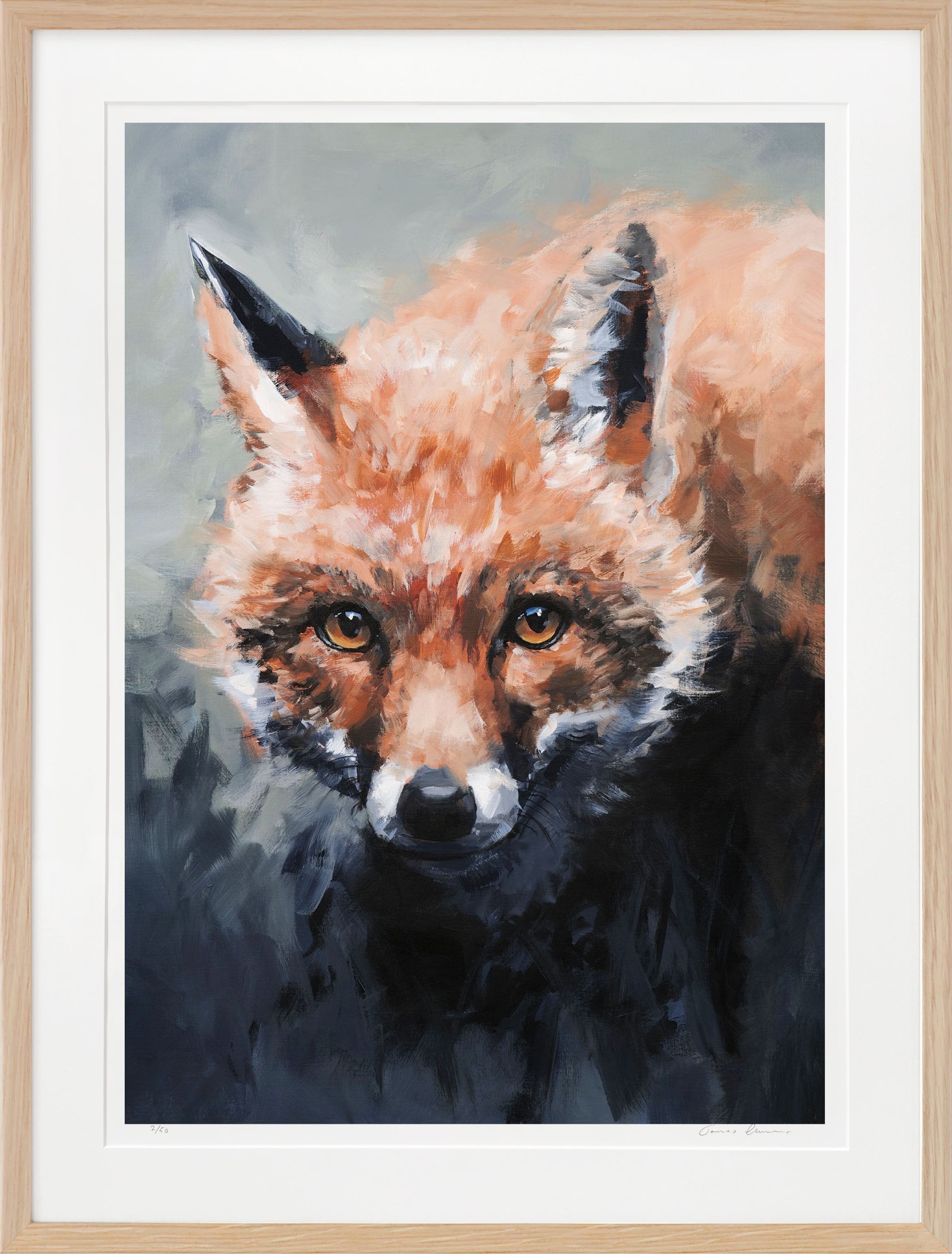 Fox - Fine Art Print