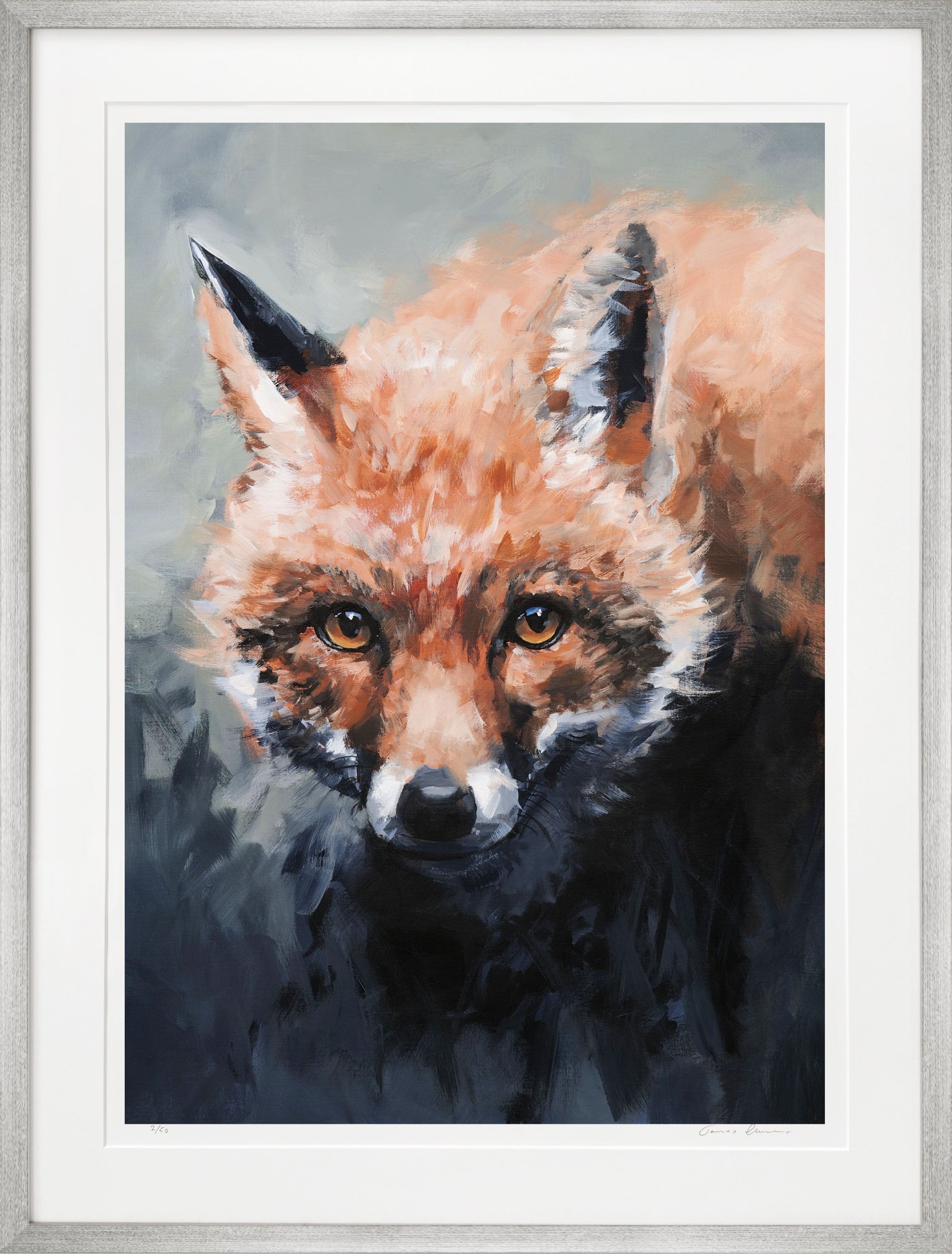 Fox - Fine Art Print